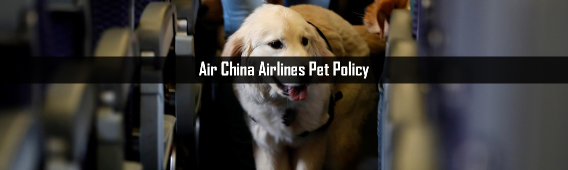Air-China-Airlines-Pet