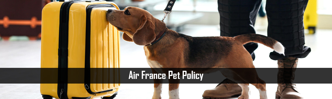 Inspection of Air France Pet Policy