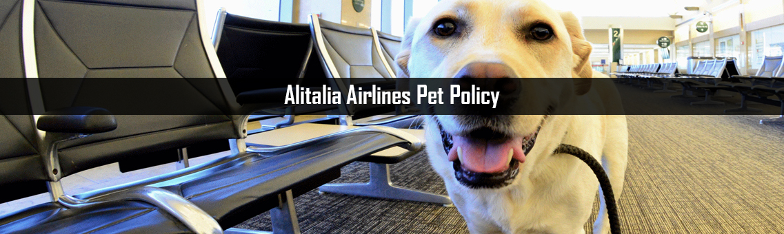 Inspection of Alitalia Airlines Pet Policy