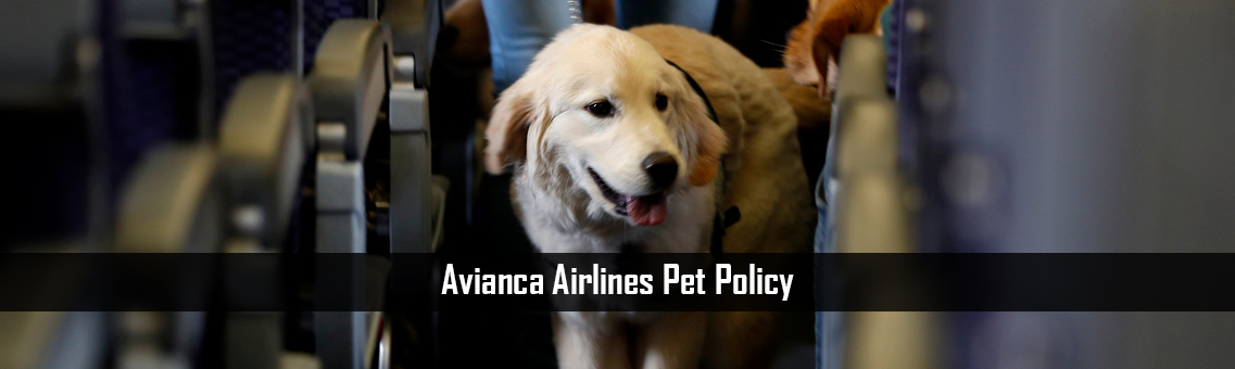 Inspection Of Avianca Airlines Pet Policy