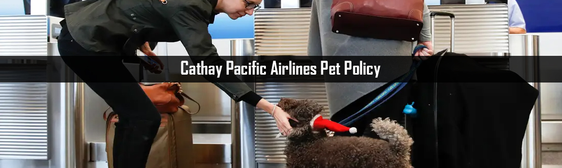 cathay pacific travel with pet