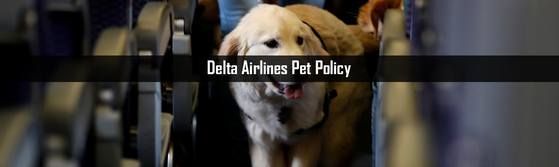 Inspection of Delta Airlines Pet Policy