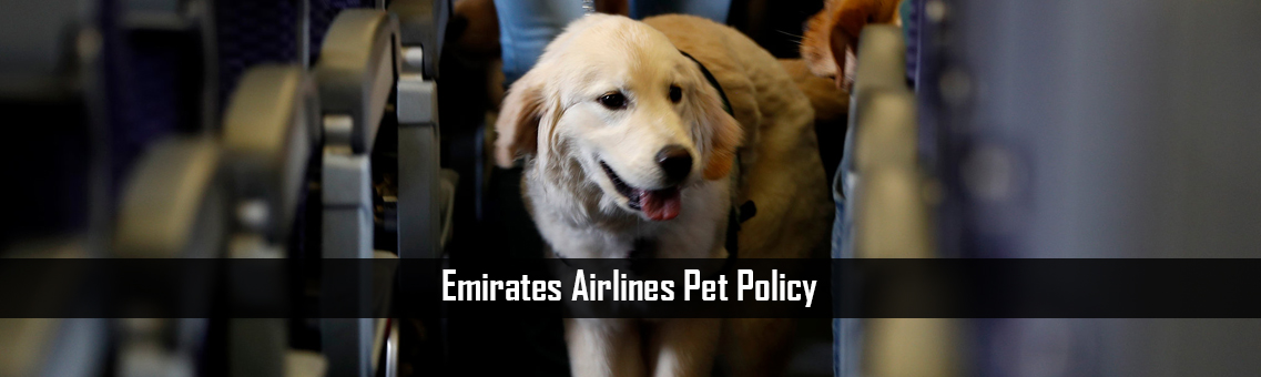 Inspection of Emirates Airlines Pet Policy