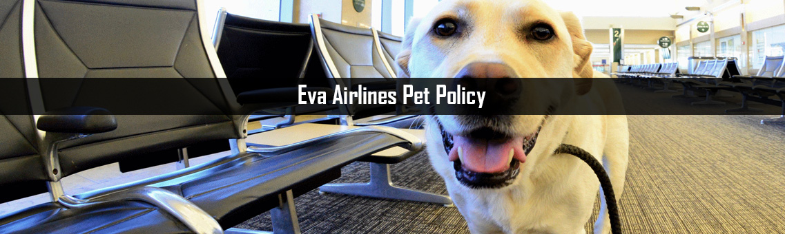 Eva-Airlines-Pet