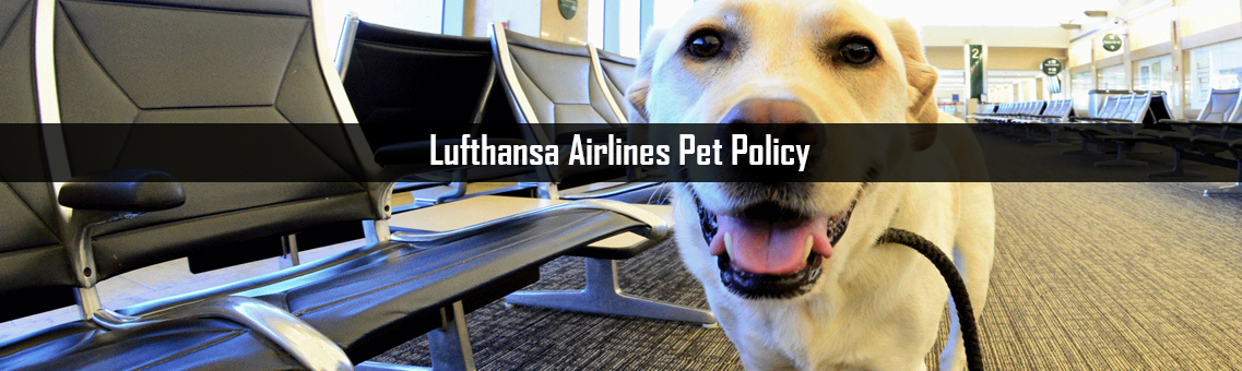 Inspection of Lufthansa Airlines Pet  
Policy