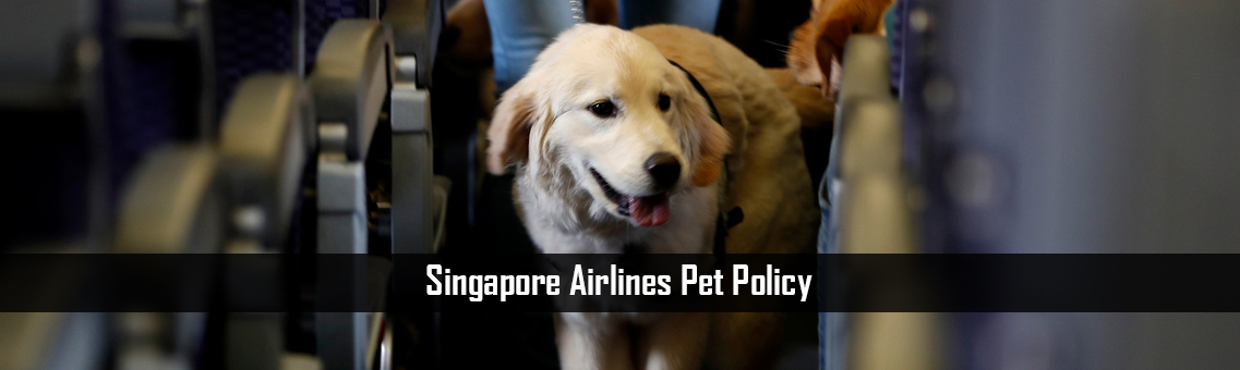 Singapore-Airlines-Pet