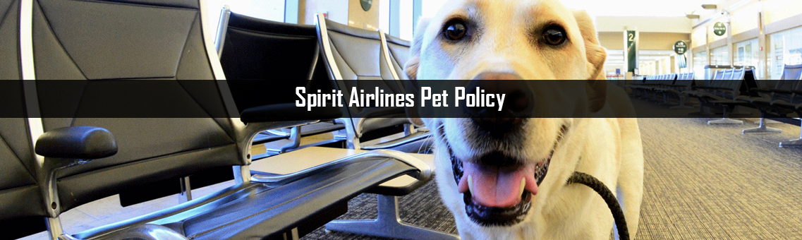 Inspection of Spirit Airlines Pet Policy