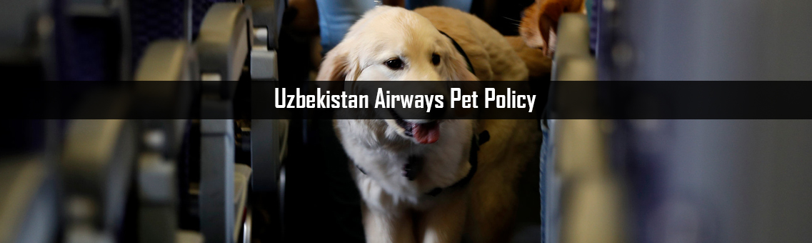 Inspection of Uzbekistan Airways Pet Policy