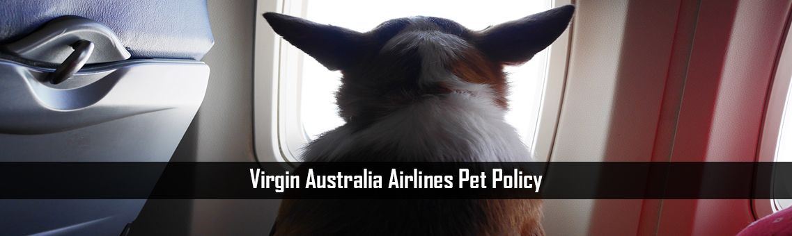 Virgin-Australia-Airlines-Pet