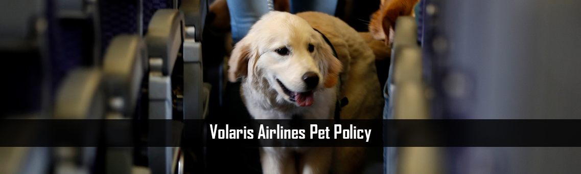 Inspection Of Volaris Airlines Pet Policy