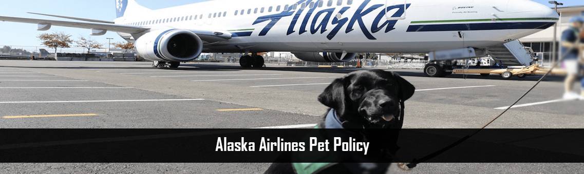 Alaska Airlines Pet Policy