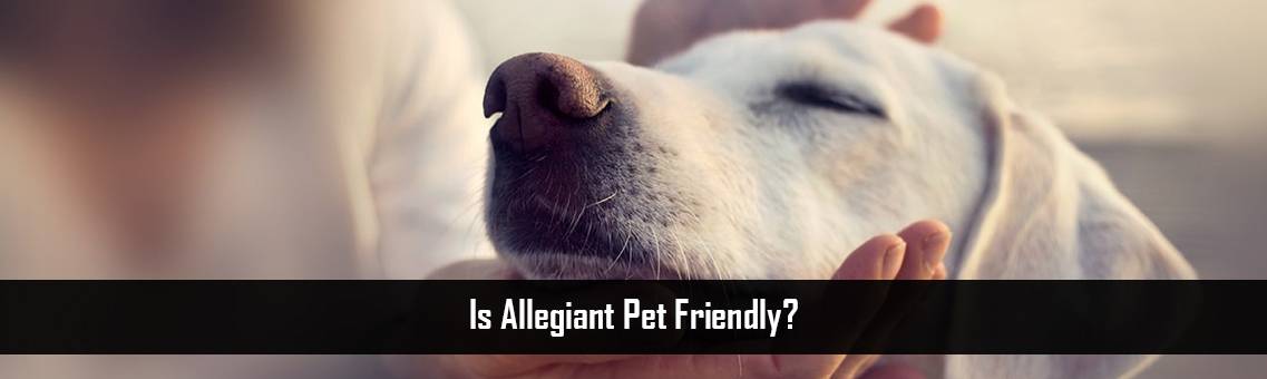Allegiant-Pet-Friendly-FM-Blog-18-8-21