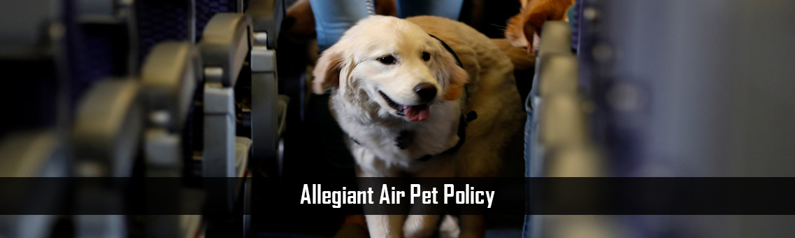 Allegiant Air Pet Policy