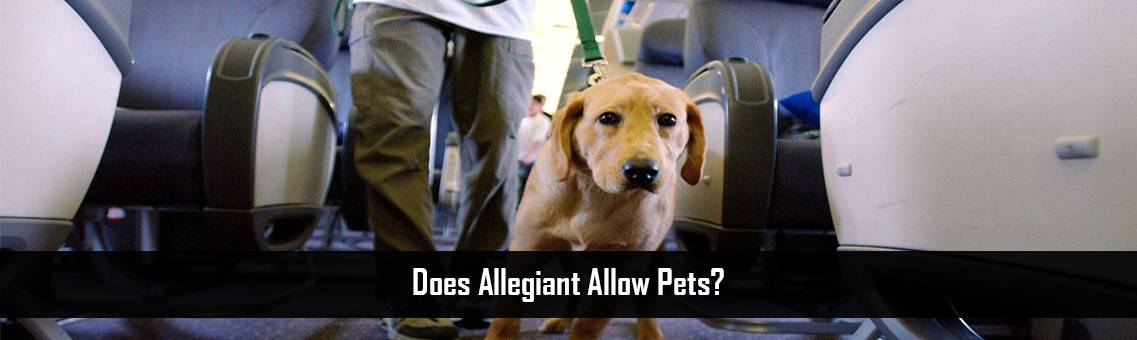 Does-Allegiant-Allow-Pets-FM-Blog-18-8-21