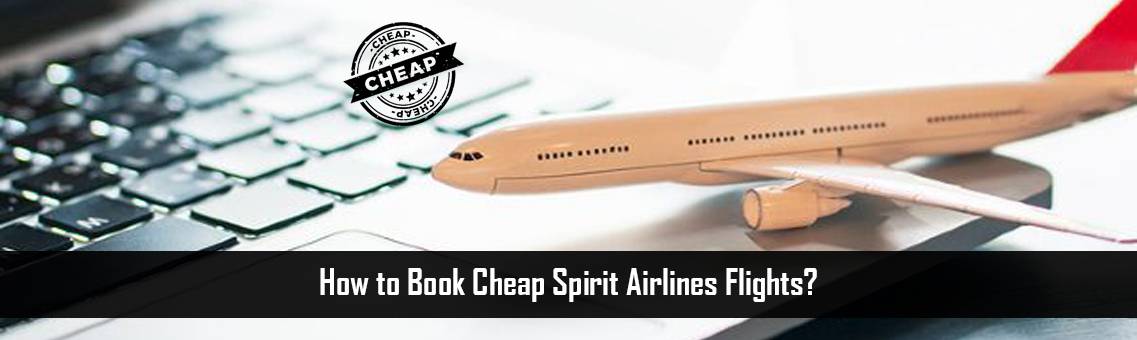 How to Book Cheap Spirit Airlines Flights?