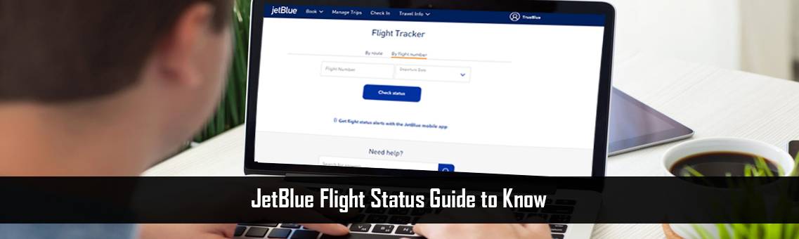 Guide For JetBlue Flight Status |Fares Match|