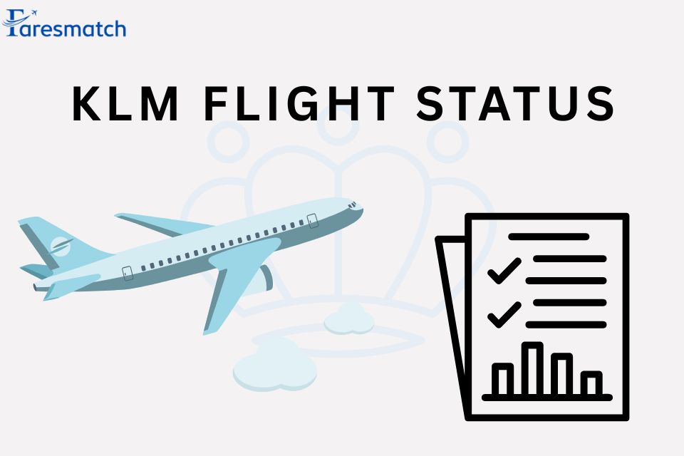 KLM-FLIGHT-STATUS