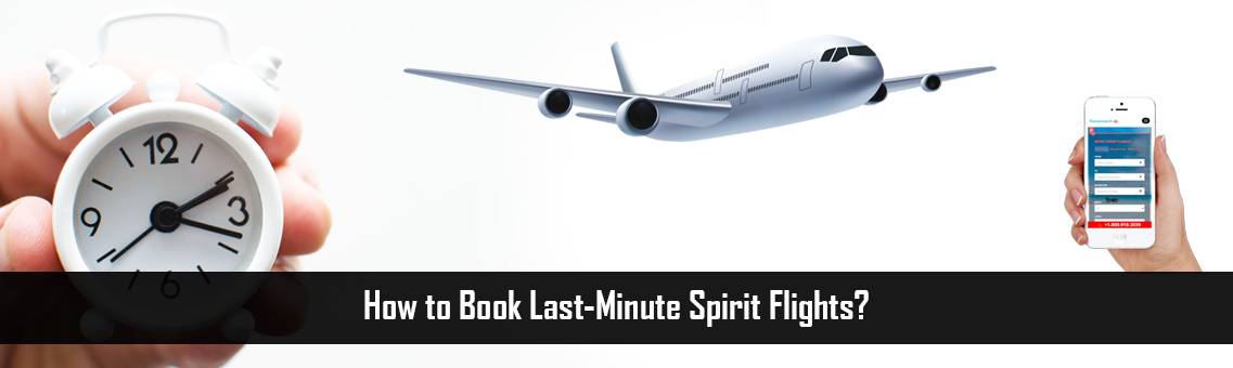 How to Book Last-Minute Spirit Flights?