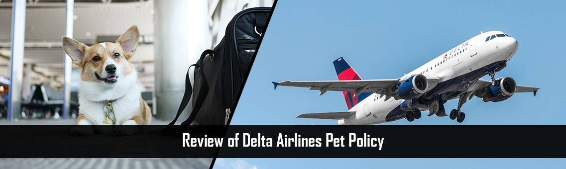 Review-Delta-Pet-Policy-FM-Blog-18-8-21