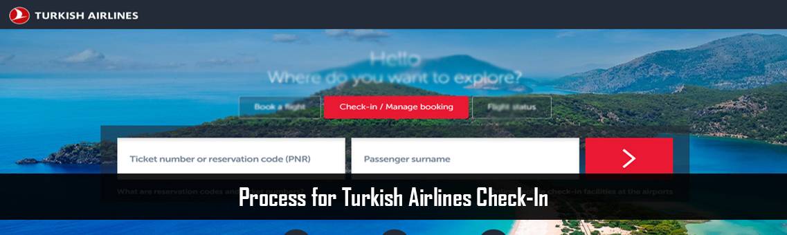 Turkish Airlines Check-In | Turkish Flight