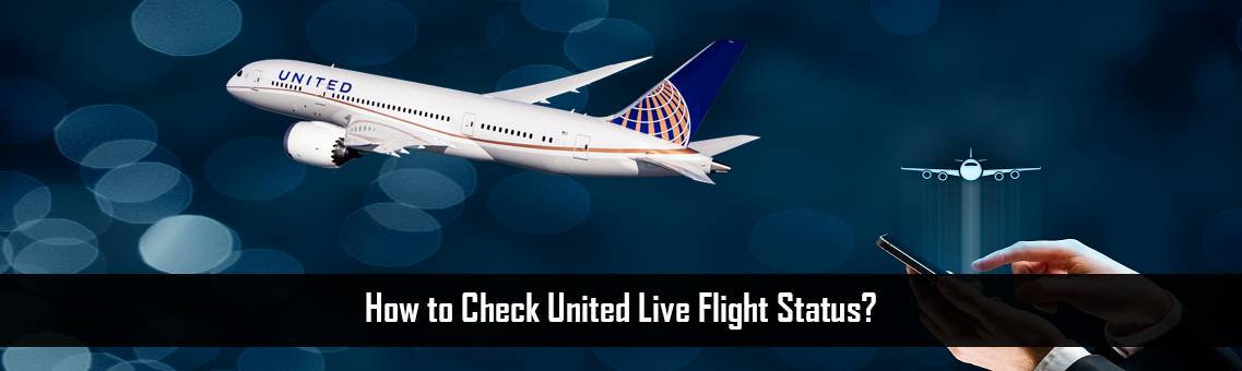 Check United Life Flight Status at united.com