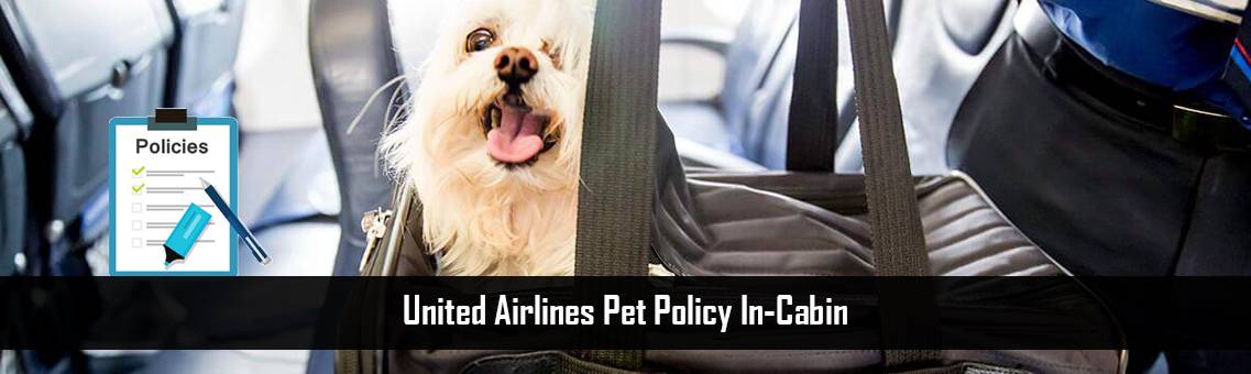 United-Pet-Policy-In-Cabin-FM-Blog-18-8-21