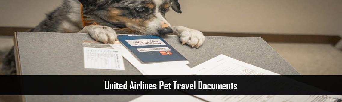 United-Pet-Travel-Documents-FM-Blog-18-8-21