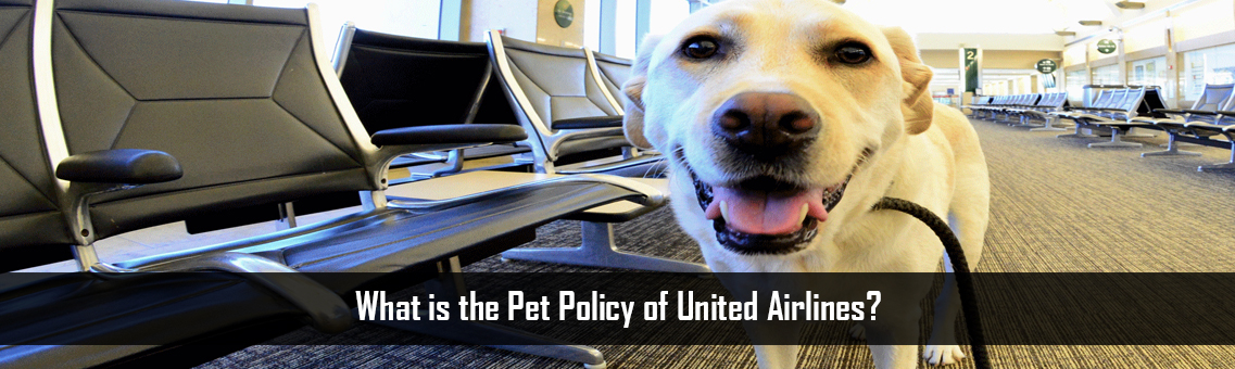 What is the Pet Policy of United Airlines? 