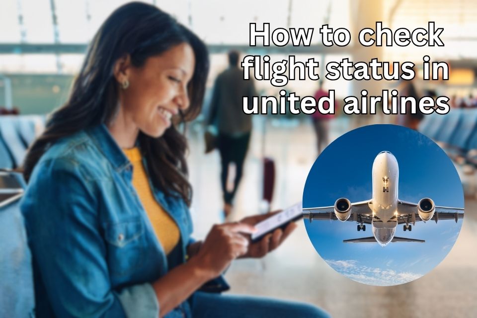 how-to-check-flight-status-in-united-airlines