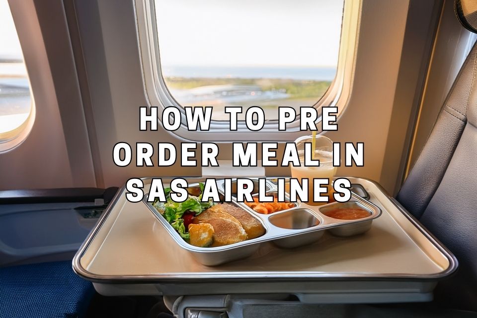 how-to-pre-order-meal-in-sas-airlines
