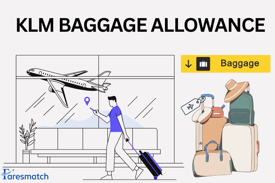 Klm Baggage Allowance