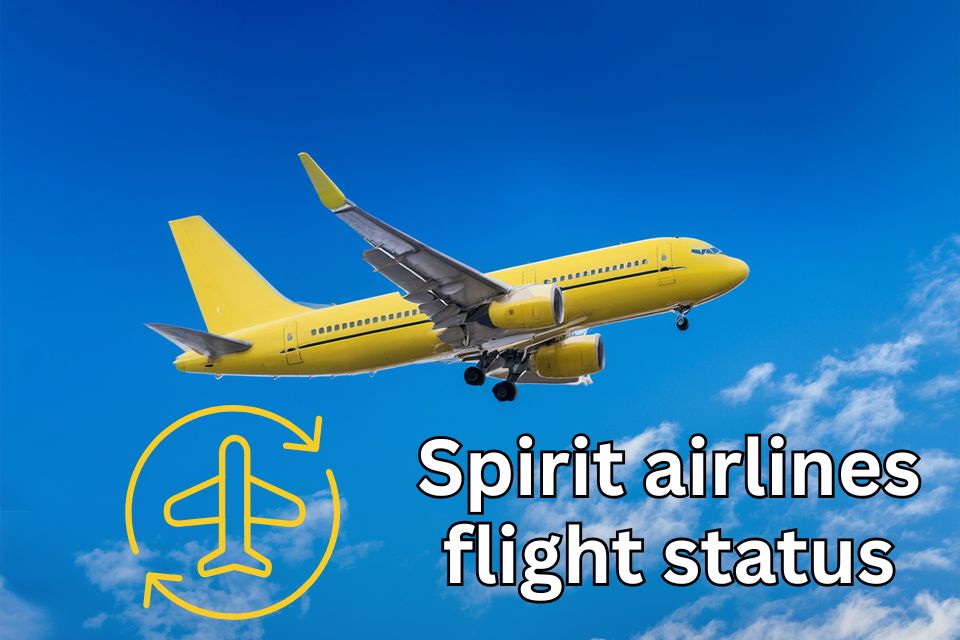 spirit-airlines-flight-status