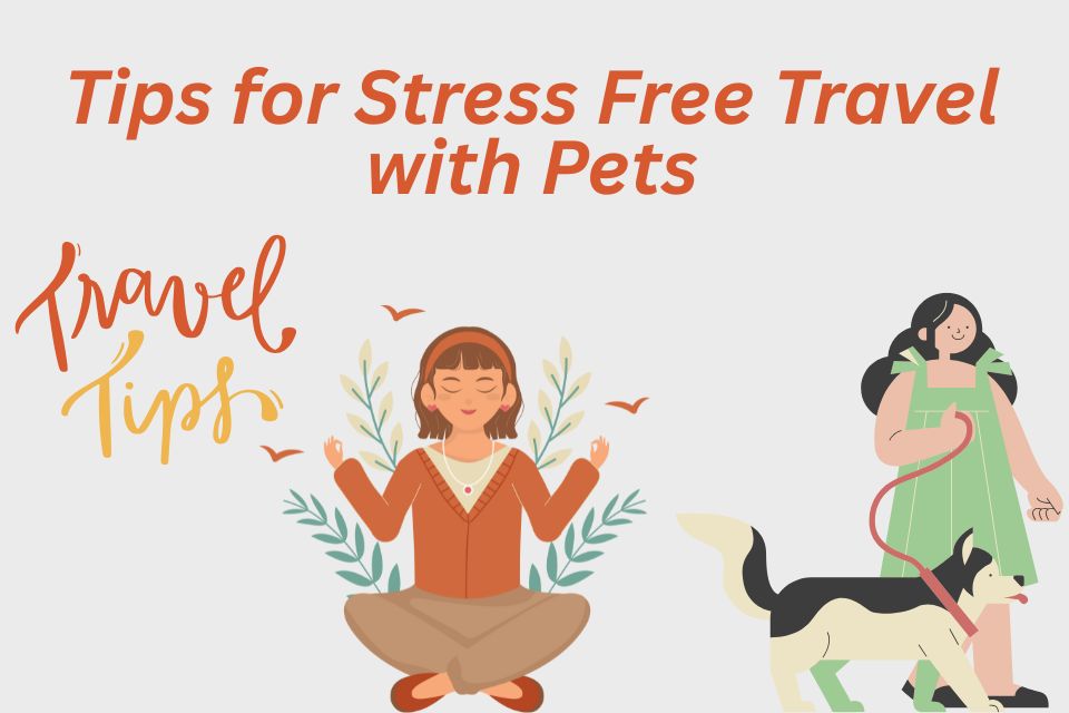 tips-for-stress-free-travel-with-pets
