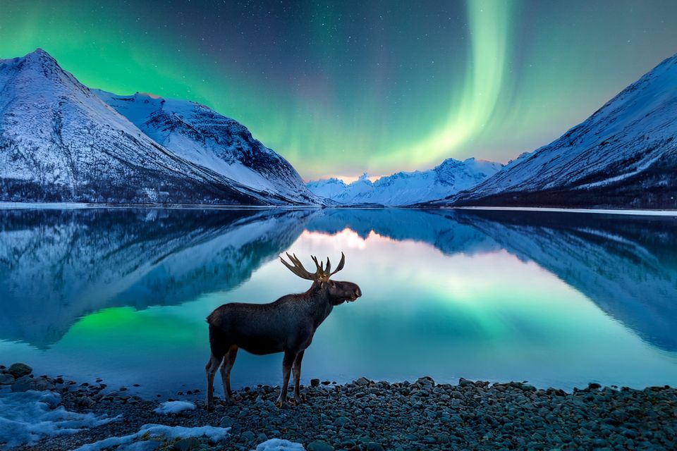 what-are-the-top-10-places-to-visit-in-alaska