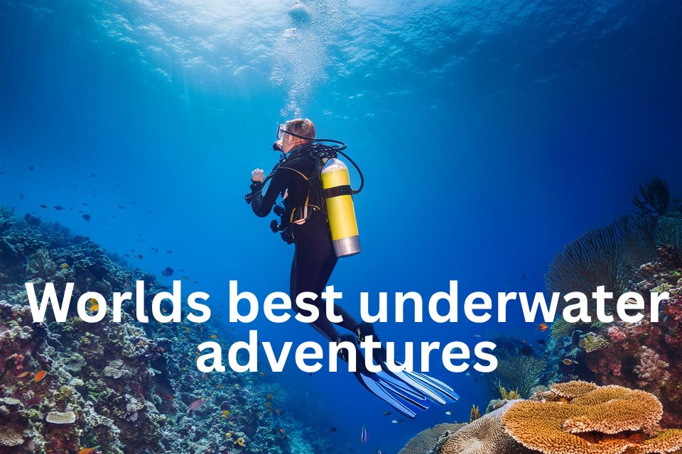 worlds-best-underwater-adventures