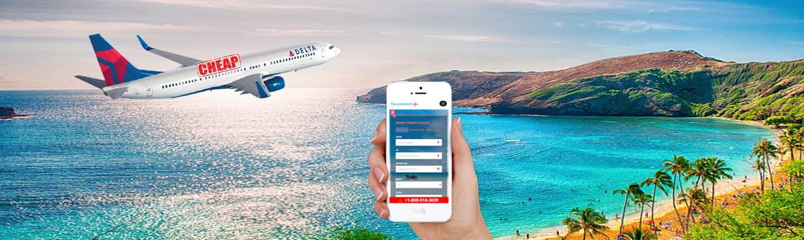 How to Find Cheap Delta Hawaii Flights Tickets?