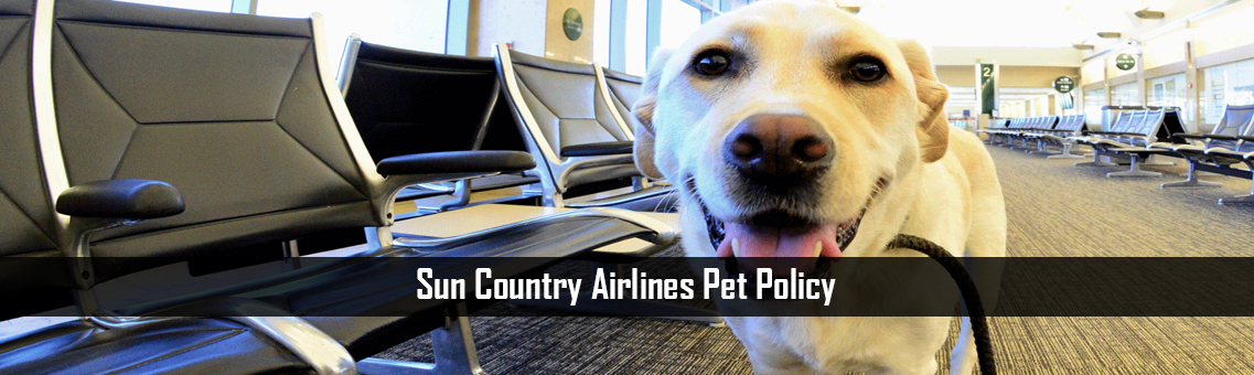 sun-country-Airlines-Pet