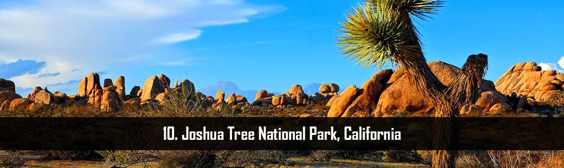 Joshua Tree National Park, California