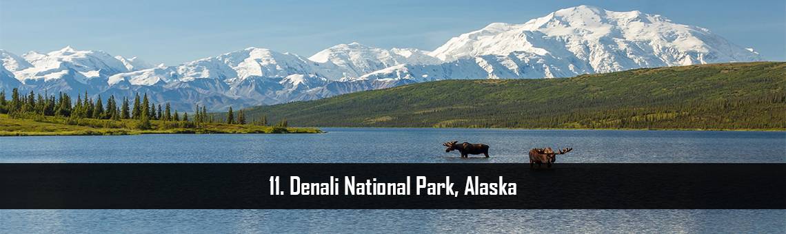 Denali National Park, Alaska