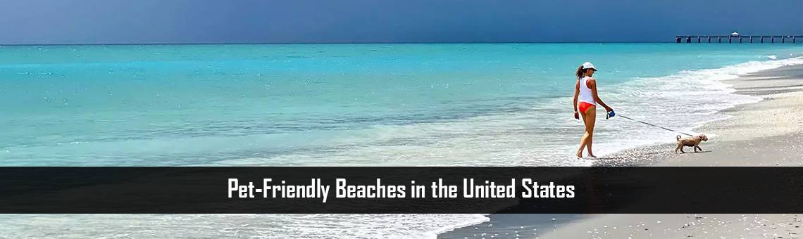 Pet-Friendly Beaches in the United States