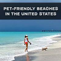 Pet-Friendly Beaches in the United States