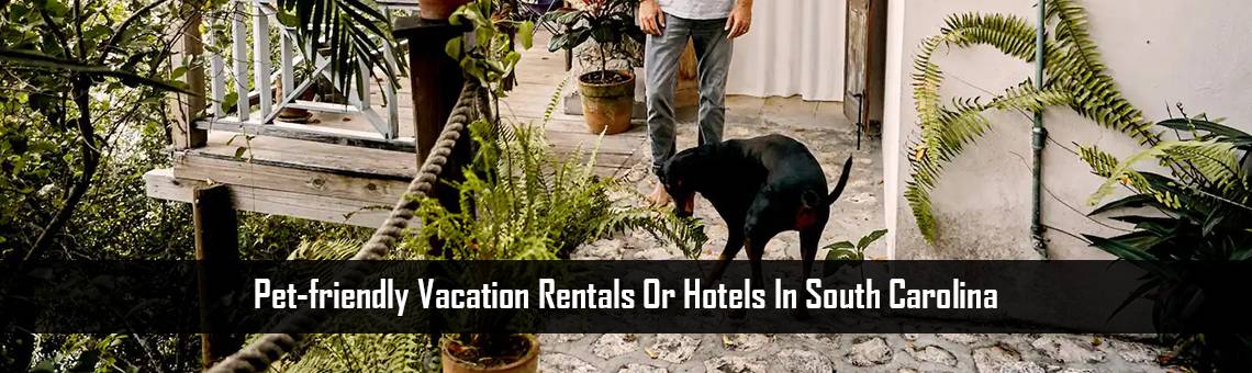 Pet-friendly vacation rentals or hotels in South Carolina