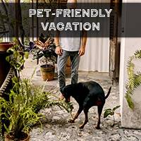 Pet-friendly vacation rentals or hotels in South Carolina