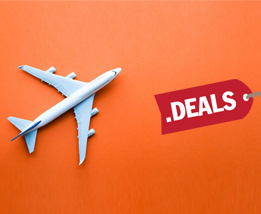 Domestic Flights Deals